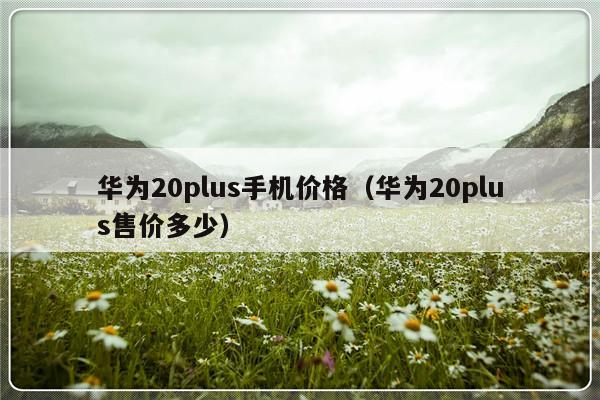 华为20plus手机价格（华为20plus售价多少）-第1张图片-乐修号