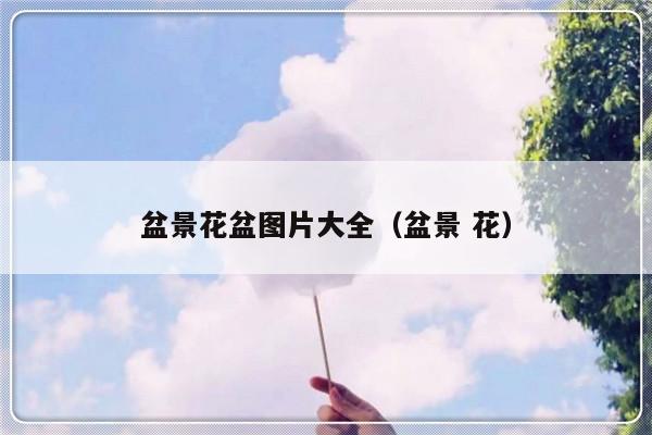 盆景花盆图片大全（盆景 花）-第1张图片-乐修号