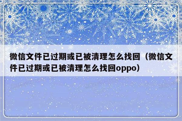 微信文件已过期或已被清理怎么找回（微信文件已过期或已被清理怎么找回oppo）-第1张图片-乐修号