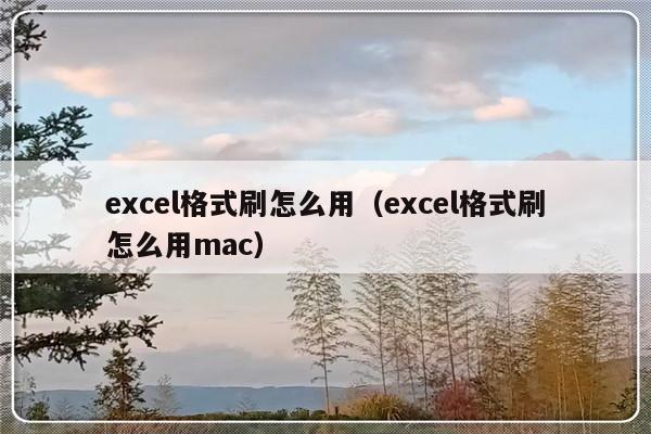 excel格式刷怎么用（excel格式刷怎么用mac）-第1张图片-乐修号