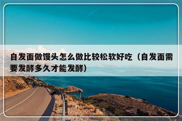自发面做馒头怎么做比较松软好吃（自发面需要发酵多久才能发酵）-第1张图片-乐修号
