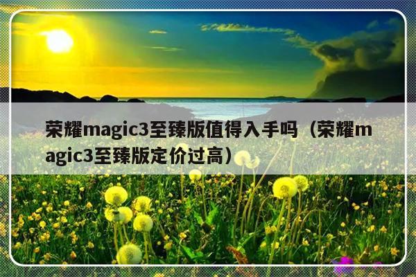 荣耀magic3至臻版值得入手吗（荣耀magic3至臻版定价过高）-第1张图片-乐修号
