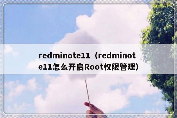 redminote11（redminote11怎么开启Root权限管理）-第1张图片-乐修号