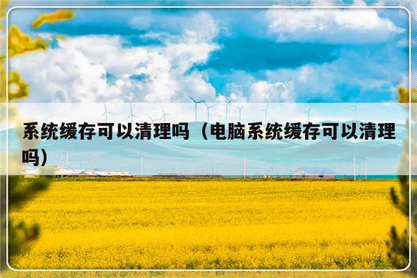 系统缓存可以清理吗（电脑系统缓存可以清理吗）-第1张图片-乐修号