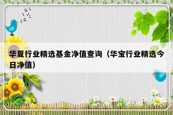 华夏行业精选基金净值查询（华宝行业精选今日净值）-第1张图片-乐修号