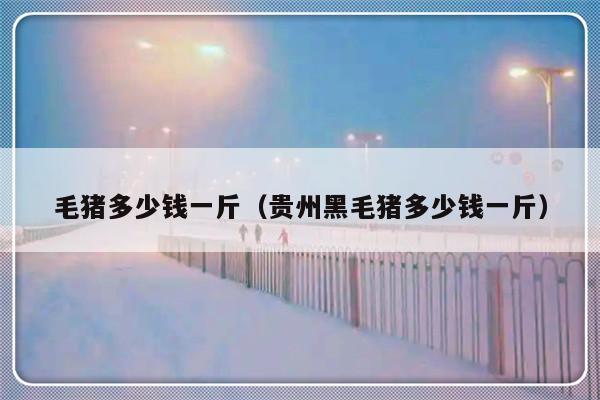 毛猪多少钱一斤（贵州黑毛猪多少钱一斤）-第1张图片-乐修号