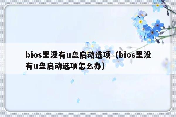 bios里没有u盘启动选项（bios里没有u盘启动选项怎么办）-第1张图片-乐修号