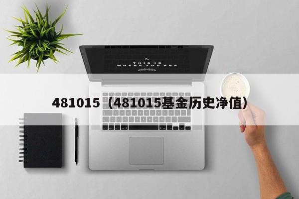 481015（481015基金历史净值）-第1张图片-乐修号