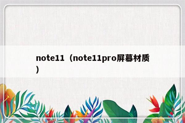note11（note11pro屏幕材质）-第1张图片-乐修号