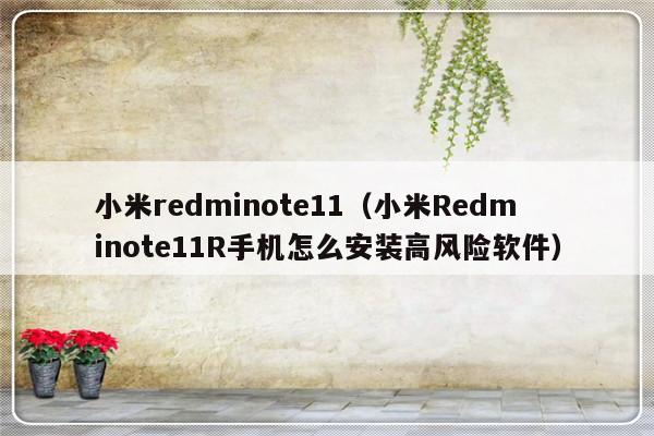 小米redminote11（小米Redminote11R手机怎么安装高风险软件）-第1张图片-乐修号