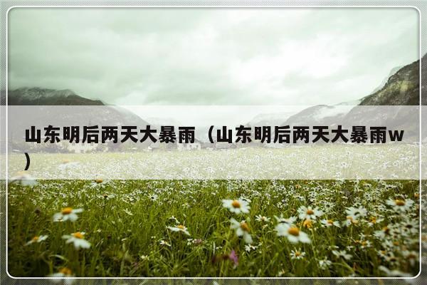 山东明后两天大暴雨（山东明后两天大暴雨w）-第1张图片-乐修号