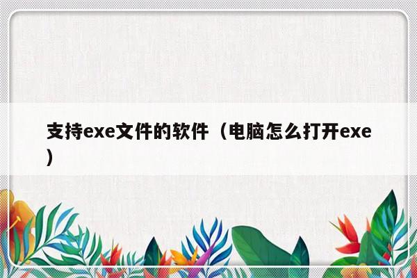 支持exe文件的软件（电脑怎么打开exe）-第1张图片-乐修号