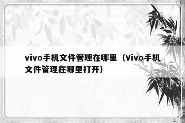 vivo手机文件管理在哪里（Vivo手机文件管理在哪里打开）-第1张图片-乐修号