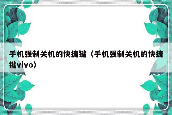 手机强制关机的快捷键（手机强制关机的快捷键vivo）-第1张图片-乐修号
