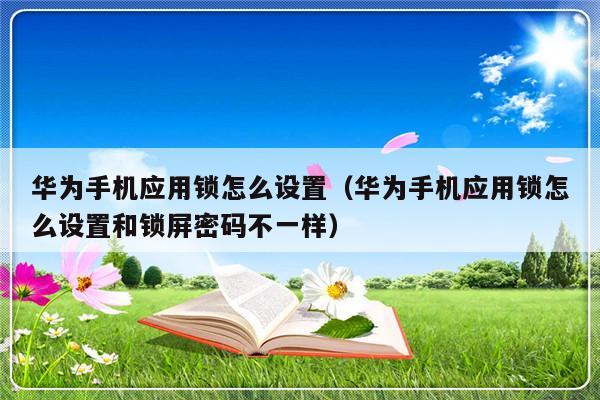 华为手机应用锁怎么设置（华为手机应用锁怎么设置和锁屏密码不一样）-第1张图片-乐修号