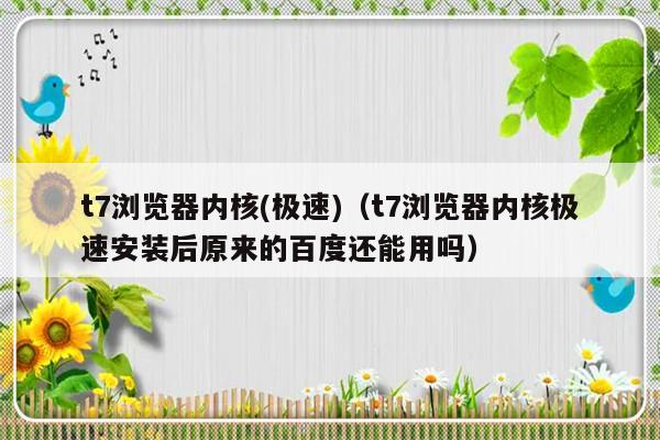 t7浏览器内核(极速)（t7浏览器内核极速安装后原来的百度还能用吗）-第1张图片-乐修号