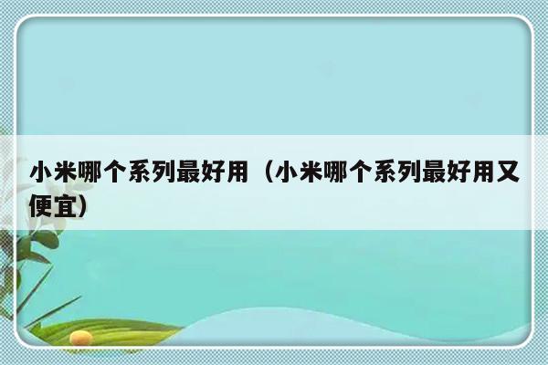 小米哪个系列最好用（小米哪个系列最好用又便宜）-第1张图片-乐修号