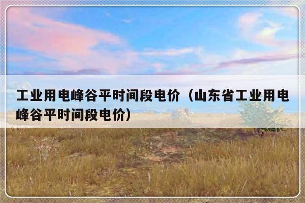 工业用电峰谷平时间段电价（山东省工业用电峰谷平时间段电价）-第1张图片-乐修号