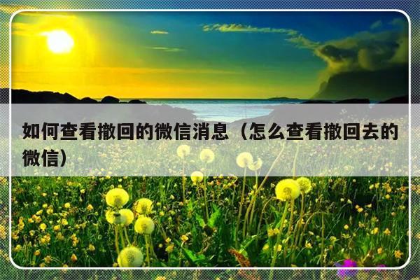 如何查看撤回的微信消息（怎么查看撤回去的微信）-第1张图片-乐修号