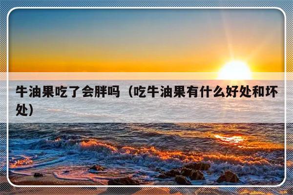 牛油果吃了会胖吗（吃牛油果有什么好处和坏处）-第1张图片-乐修号