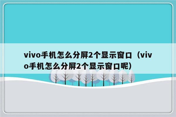 vivo手机怎么分屏2个显示窗口（vivo手机怎么分屏2个显示窗口呢）-第1张图片-乐修号