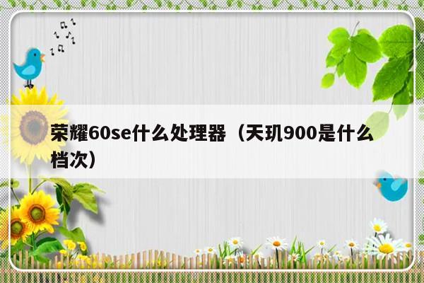 荣耀60se什么处理器（天玑900是什么档次）-第1张图片-乐修号
