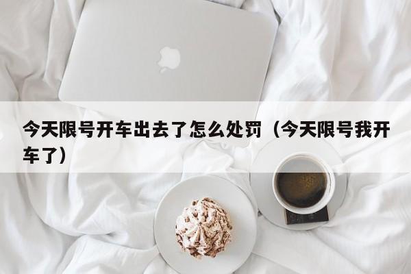 今天限号开车出去了怎么处罚（今天限号我开车了）-第1张图片-乐修号