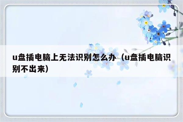 u盘插电脑上无法识别怎么办（u盘插电脑识别不出来）-第1张图片-乐修号