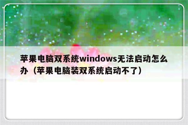 苹果电脑双系统windows无法启动怎么办（苹果电脑装双系统启动不了）-第1张图片-乐修号