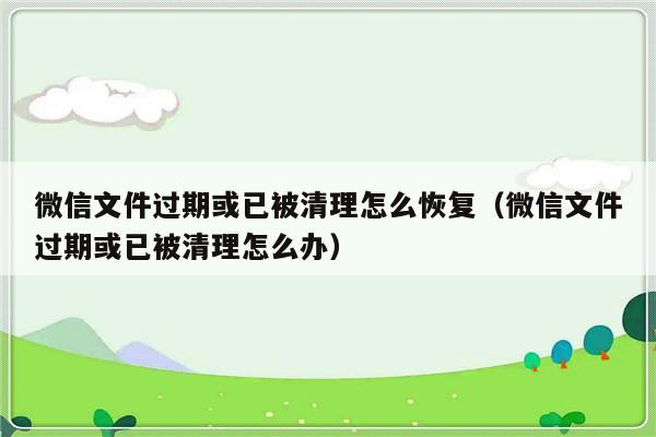 微信文件过期或已被清理怎么恢复（微信文件过期或已被清理怎么办）-第1张图片-乐修号