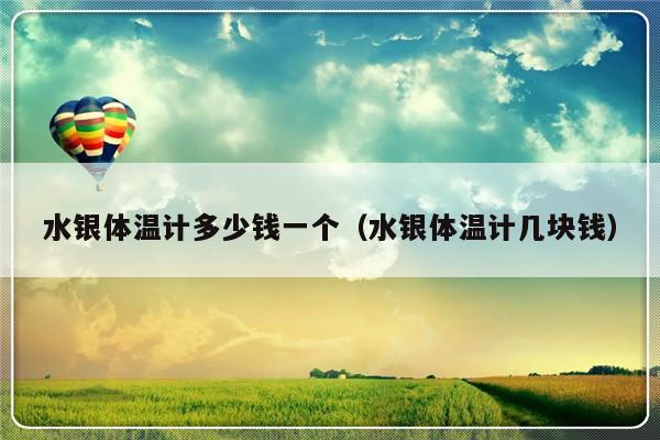 水银体温计多少钱一个（水银体温计几块钱）-第1张图片-乐修号