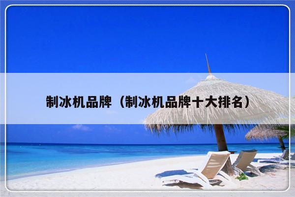 制冰机品牌（制冰机品牌十大排名）-第1张图片-乐修号