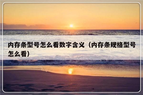 内存条型号怎么看数字含义（内存条规格型号怎么看）-第1张图片-乐修号