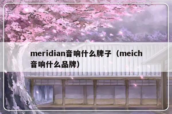 meridian音响什么牌子（meich音响什么品牌）-第1张图片-乐修号