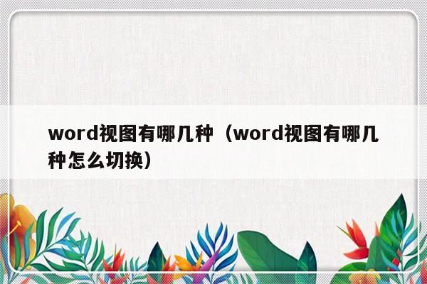 word视图有哪几种（word视图有哪几种怎么切换）-第1张图片-乐修号