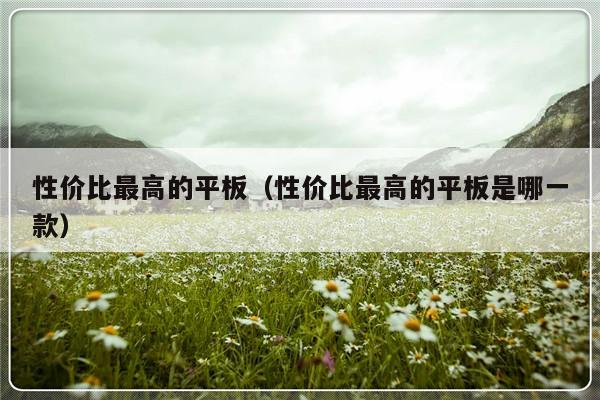 性价比最高的平板（性价比最高的平板是哪一款）-第1张图片-乐修号