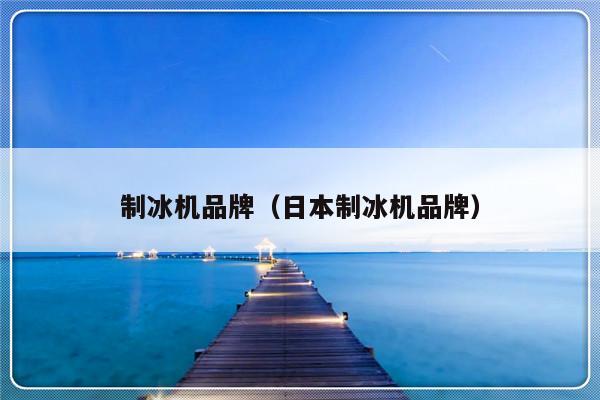 制冰机品牌（日本制冰机品牌）-第1张图片-乐修号