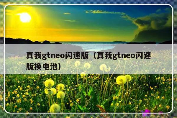 真我gtneo闪速版（真我gtneo闪速版换电池）-第1张图片-乐修号