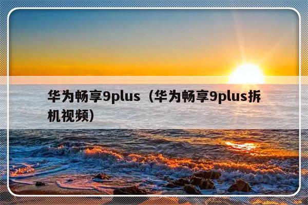 华为畅享9plus（华为畅享9plus拆机视频）-第1张图片-乐修号