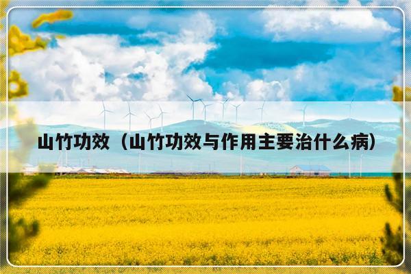 山竹功效（山竹功效与作用主要治什么病）-第1张图片-乐修号