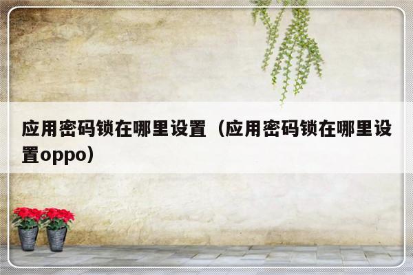 应用密码锁在哪里设置（应用密码锁在哪里设置oppo）-第1张图片-乐修号