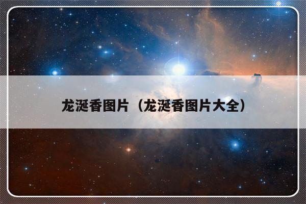 龙涎香图片（龙涎香图片大全）-第1张图片-乐修号