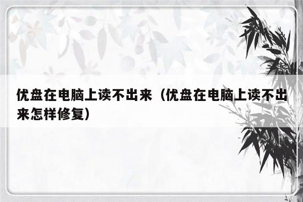 优盘在电脑上读不出来（优盘在电脑上读不出来怎样修复）-第1张图片-乐修号