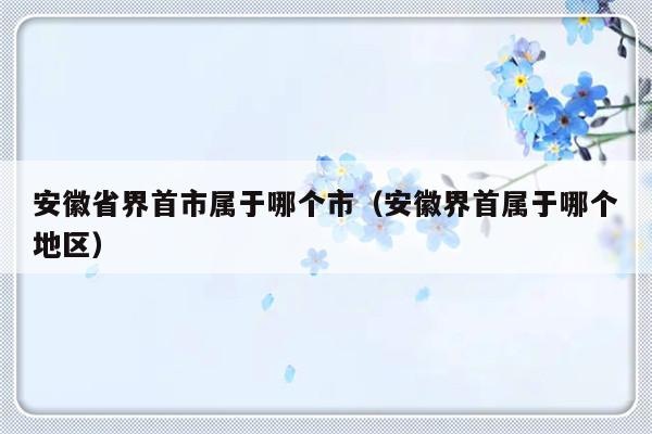 安徽省界首市属于哪个市（安徽界首属于哪个地区）-第1张图片-乐修号