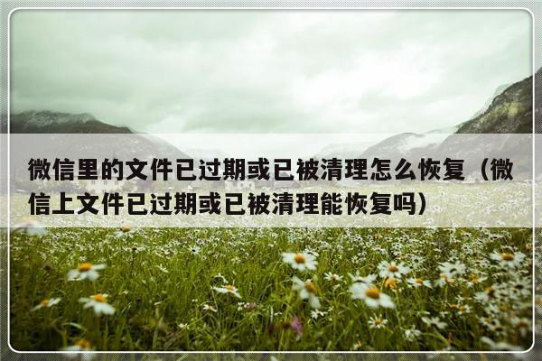 微信里的文件已过期或已被清理怎么恢复（微信上文件已过期或已被清理能恢复吗）-第1张图片-乐修号