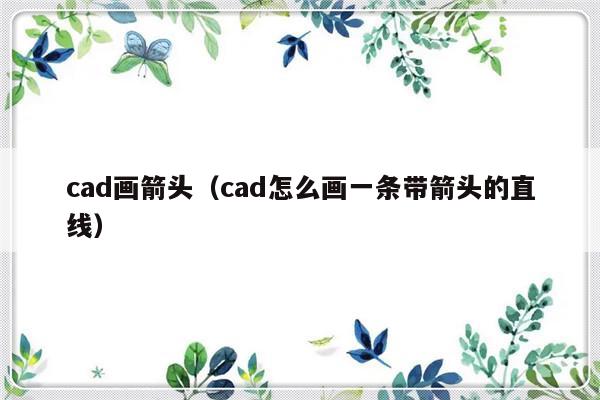 cad画箭头（cad怎么画一条带箭头的直线）-第1张图片-乐修号