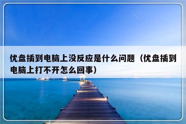 优盘插到电脑上没反应是什么问题（优盘插到电脑上打不开怎么回事）-第1张图片-乐修号