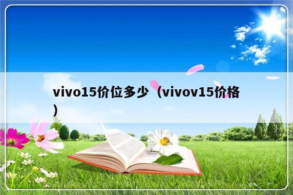 vivo15价位多少（vivov15价格）-第1张图片-乐修号