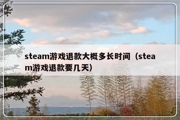 steam游戏退款大概多长时间（steam游戏退款要几天）-第1张图片-乐修号
