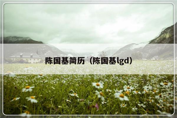 陈国基简历（陈国基lgd）-第1张图片-乐修号
